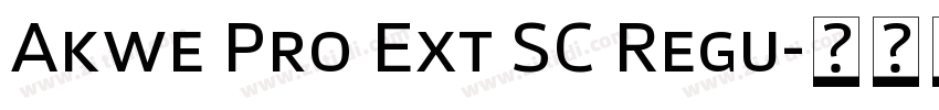 Akwe Pro Ext SC Regu字体转换